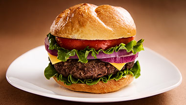 burger with lettuce, tomato, onion and cheese on a plate